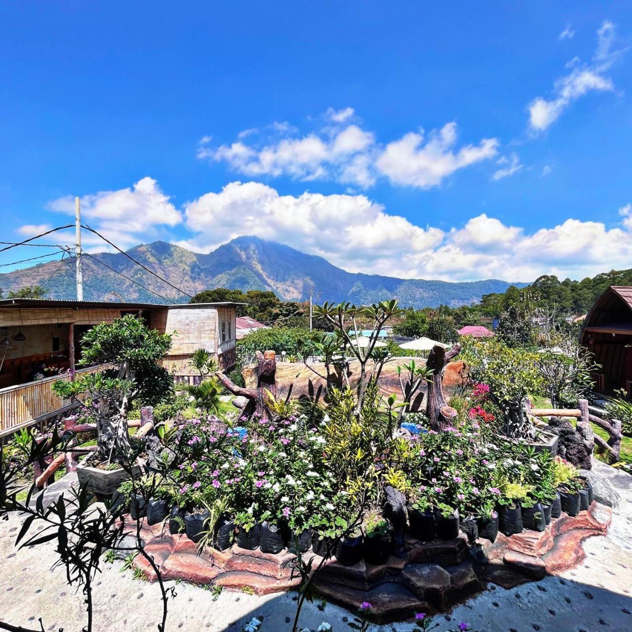 Manik Tirta Cabin'S Kintamani  Exterior photo